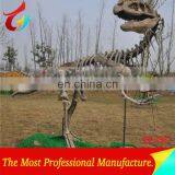 Artificial animal skeleton dinosaur bones