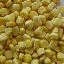Frozen Sweet Corn thumbnail-3