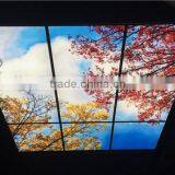 Golden Autumn Led Sky Ceiling Panel thumbnail-2