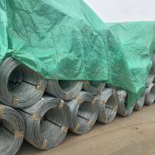 6E3EBE07-EA0B-4327-BF47-762054D0D7CE