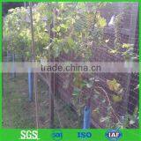 Long Life Extruded PP Anti Bird Netting