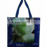 Shopping bag for promotion ,2013 eco pp non woven shopping bag