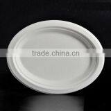 100% Eco-friendly Biodegradable Starch Tableware Pulp Plate Quality Choice thumbnail-3