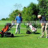Portable Electric Golf Trolley With CE DG12150-D thumbnail-4