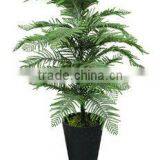 Artificial Pinus Merkusii