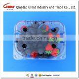 Eco-friendly Plastic Transparent Fresh Grape Fruit Box