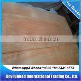 Okoume Face Veneer thumbnail-2
