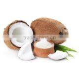 Good Price, High Quality Vietnam High Fat Medium Desiccated Coconut From Interimex JSC (whatsapp: +84936172627) thumbnail-3