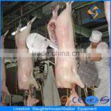 Pig Abattoir Slaughter Processing Machine Equipment thumbnail-5