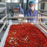 180-750 A Grade Dried Gojiberry From Ningxia thumbnail-3
