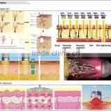 Painless Stationary Beauty Equipment Salon And Home Use 8 White In 1 With Multi Function Acne Removal Swing Arm thumbnail-2