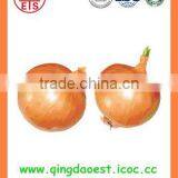 2016 BUlk MARKET PRICE Fresh Yellow Onion thumbnail-2