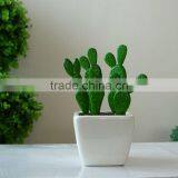 Artificial Potted Fake Plastic Echinopsis