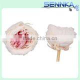 Valentine's Day Gifts Wholesale Preserved Roses Flower Austin Rose With Red,yellow,white,reen Color thumbnail-2