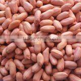 Groundnut Kernels/peanuts Kernels thumbnail-2