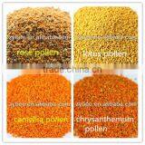 Bee Pollen Wholesale Organic Certified Beepollen