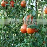 Plant Support Net for Garden thumbnail-6