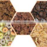New Coming Top Quality Extruder Corn Flakes Machine thumbnail-6