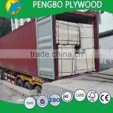 Pressure Treated Plywood 4ft x 8ft for Shuttering thumbnail-5