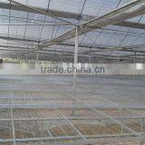 Factory Price Green Houses Agriculture thumbnail-3