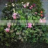 SJCH54855 Artificial Foliage and Flower Wall Hanging thumbnail-4