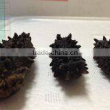 Price of Dried Sea Cucumber for Chinese Foods , Paid Sample Also Available thumbnail-4