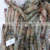 Sea Food and Shelled Frozen Shrimp thumbnail-1
