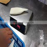 Frozen Squid Tube U5 U7 U10 thumbnail-5