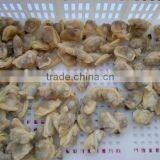 Korea Class Short Necked Clam thumbnail-6