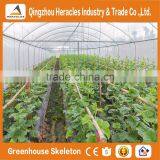 Heracles Low Cost Vegetable Seeds Greenhouse / Hoop House thumbnail-2