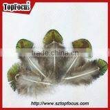 New Trendy Gold Color Cheap Artificial Peacock Feathers for Sale thumbnail-3