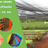 Shijiazhuang Shuorui Imp & Exp Co., Ltd company overview - view 1 thumbnail