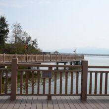WPC Railing thumbnail-1
