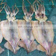Dried Squid Japan Dried Squid Nam Van Long