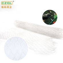 High Quality Custom Anti-oxidation Safety Net Transparent Protection Anti-bird Netting Anti Bird thumbnail-5