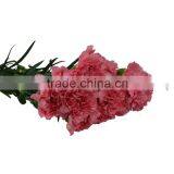 Fashion Deep Pink Carnation Flowers Long Stem thumbnail-2