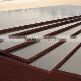 Linyi Cheaper Plywood Price Brown Film Faced Marine Plywood Manufacturer Poplar Core thumbnail-1