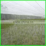 Suntex Virgin HDPE Greenhouse Insect Proof Net Sun Shade Cloth thumbnail-3