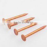 China Supplier Hardware Steel Construction Material Head Roofing Nail