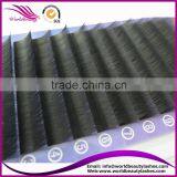 Top Quality Wholesale Price Eyelash Extension thumbnail-5