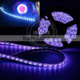 Home/auto Use High Voltage Rope Light LED thumbnail-1