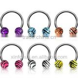Stainless steel circular (horseshoe) barbell with tiger print balls, 16 ga cbr body piercing