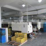 Ningbo Layer Lighting Electrical Appliance Co., Ltd. company overview - view 4 thumbnail