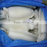 Frozen Cuttle Fish Whole Cleaned IQF