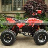 48V 20ah Electric ATV Quads With 750w Bushless Unit Motor thumbnail-2