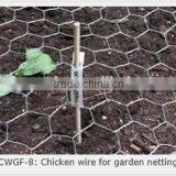 Hexagonal Netting, Twisted Mesh Supplier (electro Galvanized/ Hot Dipped Galvanized/pvc) thumbnail-6