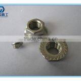 China Hexagon Nuts With Flange thumbnail-3