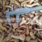 Frozen Mushroom thumbnail-3