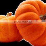 Medical Health Industries Pumpkin Seed Oil for Man Health Cure Prostate Cancer thumbnail-2