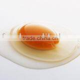 Egg Yolk Powder thumbnail-1